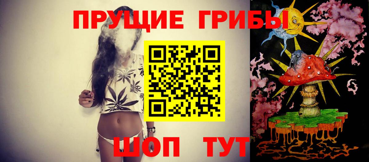 Псилоцибиновые грибы Cubensis Артём